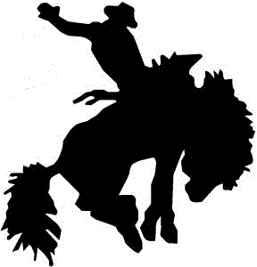 Cowboy